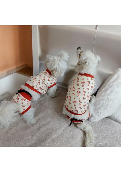 Dişi Köpek Regl Külodu ve Tshirt Takımı – Ayarlanabilir, Yıkanabilir, Hijyenik Köpek Külodu fiyatları