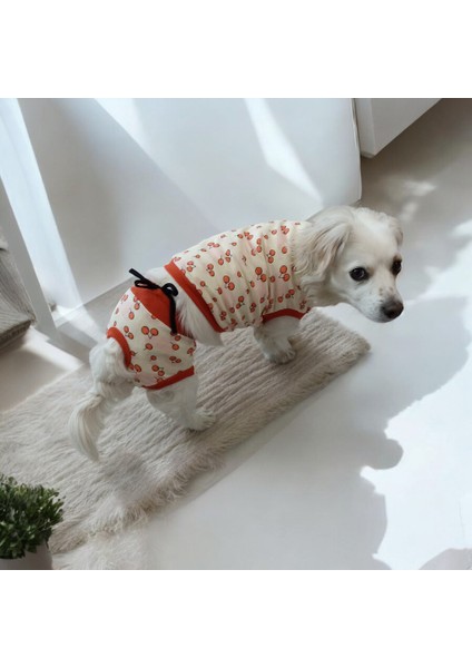 Dişi Köpek Regl Külodu ve Tshirt Takımı – Ayarlanabilir, Yıkanabilir, Hijyenik Köpek Külodu modelleri