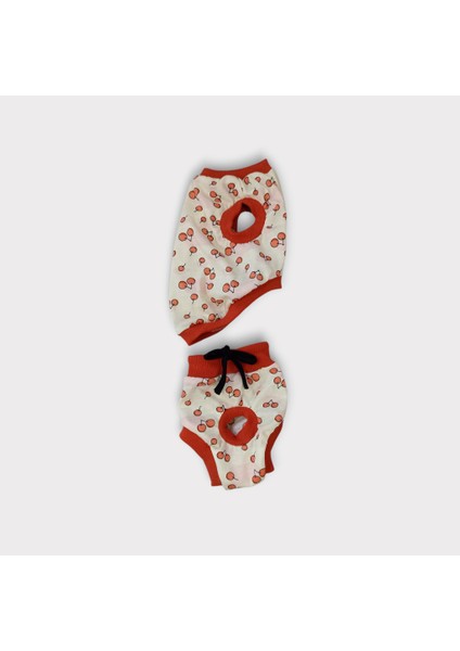 Dişi Köpek Regl Külodu ve Tshirt Takımı – Ayarlanabilir, Yıkanabilir, Hijyenik Köpek Külodu fırsatları