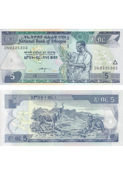 Etiyopya 5 Birri - 2017 - Çil