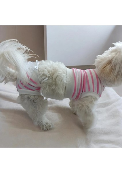 Dişi Köpek Regl Külodu ve Tshirt Takımı – Ayarlanabilir, Yıkanabilir, Hijyenik Köpek Külodu fiyatları