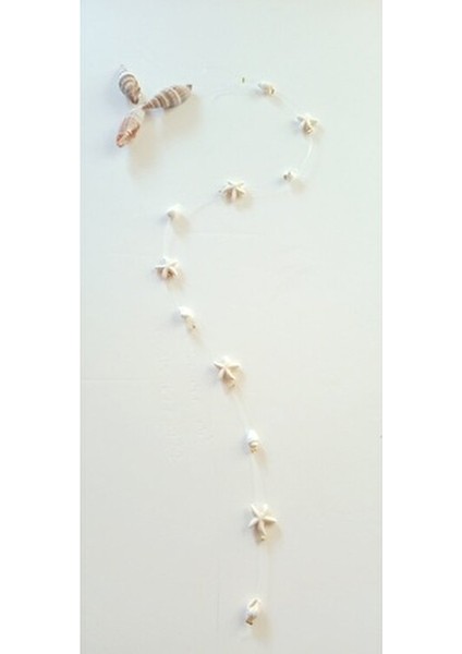 Saç Boncuğu Deniz Yıldızı ve Deniz Kabuğu Model fiyatları