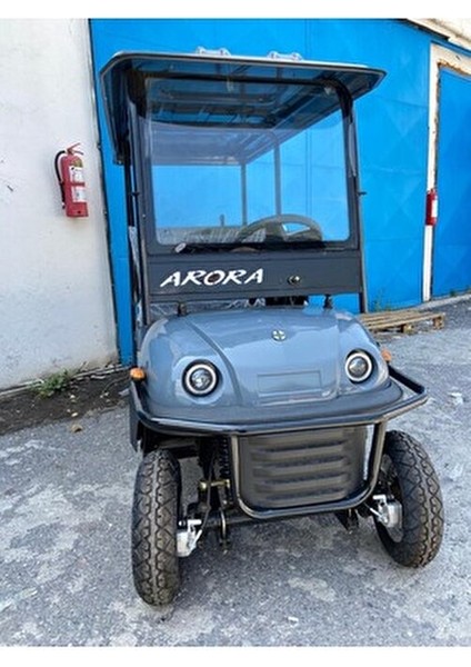 Polo Plus Elektrikli Golf Arabası 250 Kg Taşıma Kapasitesi