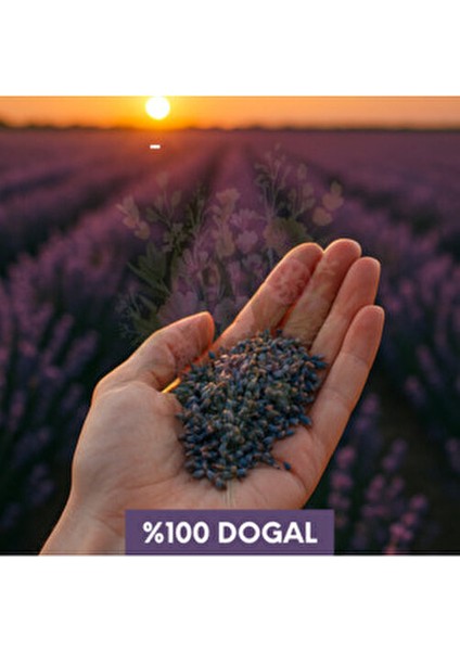 Home Lavanta Kesesi – 18’li Set | 7x9 cm | Güçlü Koku | Doğal & Taze Lavanta modelleri