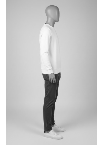 Erkek Regular Fit Bisiklet Yaka Sweatshirt fiyatları