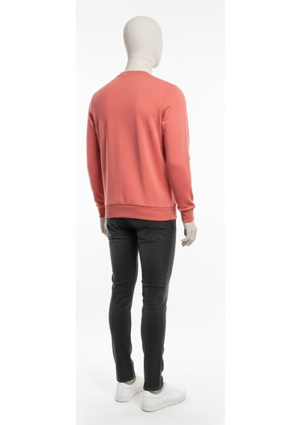 Erkek Regular Fit 3 Iplik Enjeksiyon Baskı Bisiklet Yaka Sweatshirt modelleri
