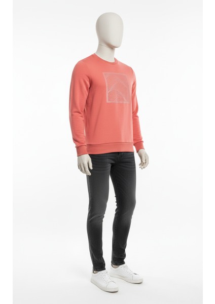 Erkek Regular Fit 3 Iplik Enjeksiyon Baskı Bisiklet Yaka Sweatshirt fırsatları