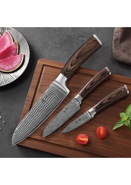Wakoli Edıb 3’lü Alman Damaskus Bıçak Seti (67 Kat Çelik, Pakkawood Sap, Ahşap Hediye Kutusunda) | Profesyonel ve Hobi Şefler Için Premium Mutfak Bıçakları modelleri