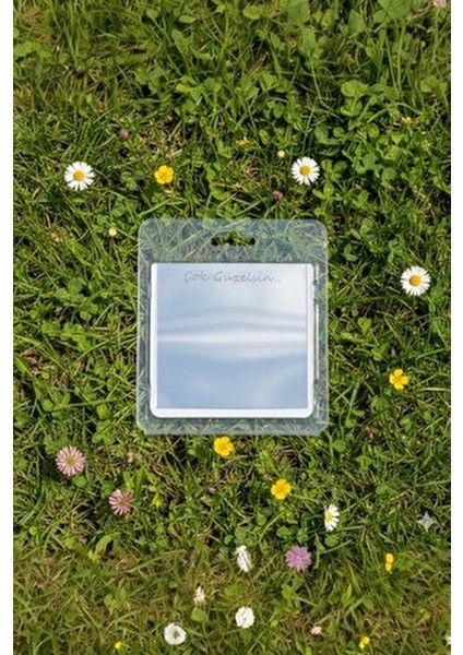 Hot Flowers Aynalı Mini Çiçek Buketi Sevgiliye Özel Hediye Özel Tasarım Love Flowers Aksesuar modelleri