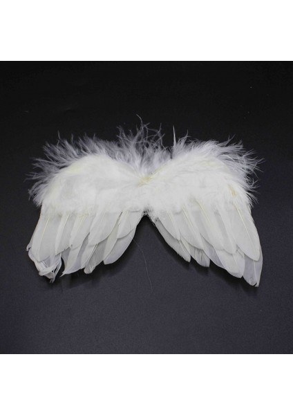 Melek Kanadı Dekoratif 12-15 cm