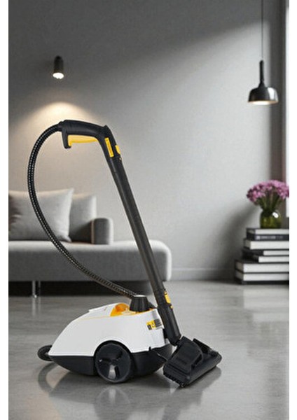 P501 5 Bar Yüksek Basınçlı Buharlı Temizleyici Beyaz modelleri