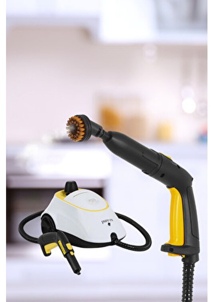 P501 5 Bar Yüksek Basınçlı Buharlı Temizleyici Beyaz