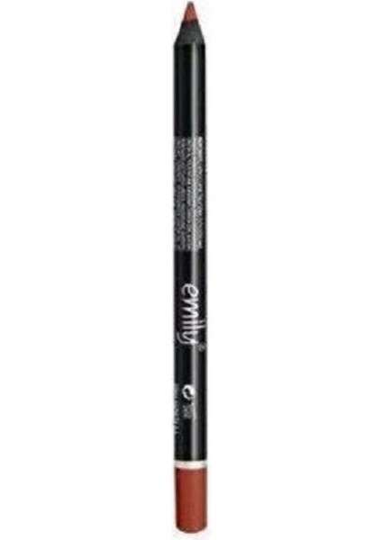 Long Lasting Lip Pencil Dudak Kalemi No: 208
