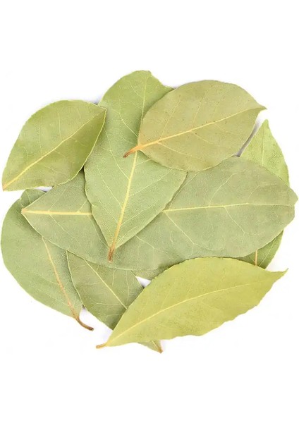 Defne Yaprağı 1000 gr