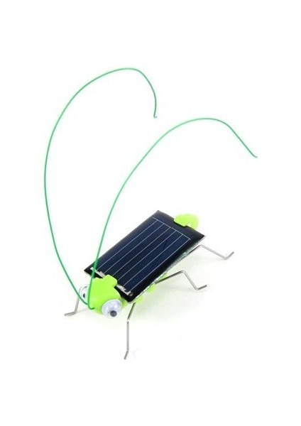 Kendin Yap Mini Solar Robot Çekirge