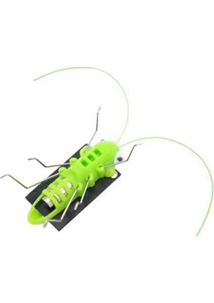 Kendin Yap Mini Solar Robot Çekirge fiyatları