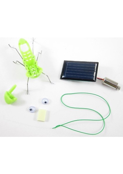 Kendin Yap Mini Solar Robot Çekirge modelleri