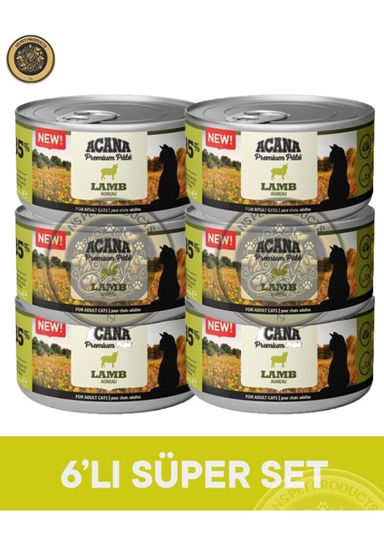 Lamb Cat Canned 6X85 gr