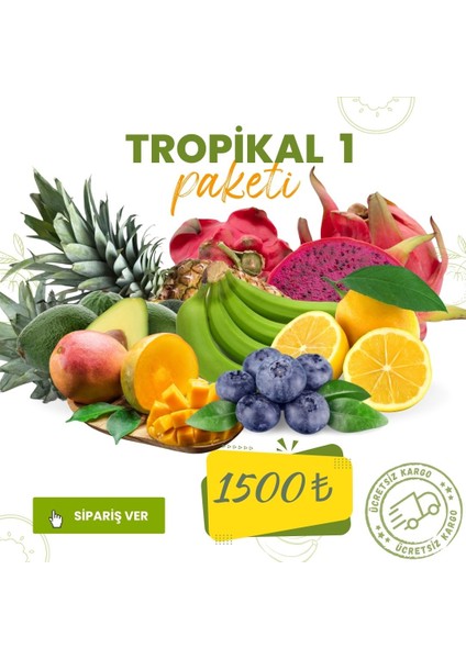 AVO TROPİKAL1 PAKETİ (5 ADET AVOKADO ( ADET MİN 200 GR ) - 1 KG MUZ - 1 KG LİMON - 1 ADET MANGO - 125 GR BLUEBERRY )
