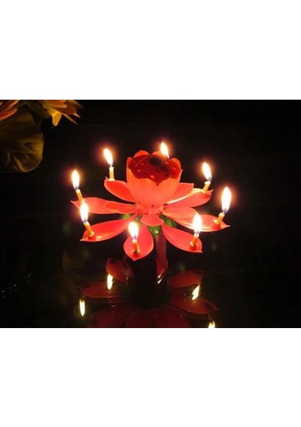 Müzikli Mum modelleri