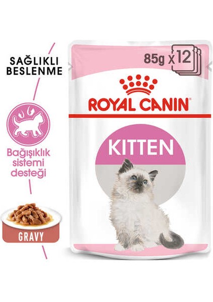 Kitten Gravy Yavru Kedi Konservesi 85GR fiyatları