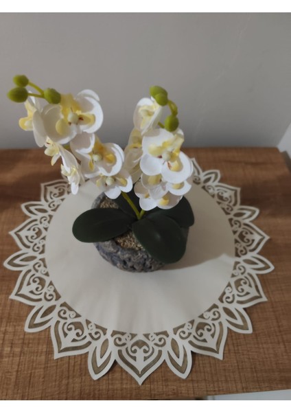 Hakiki Deri Amerikan Servis – Özel Tasarım 1 Adet fırsatları