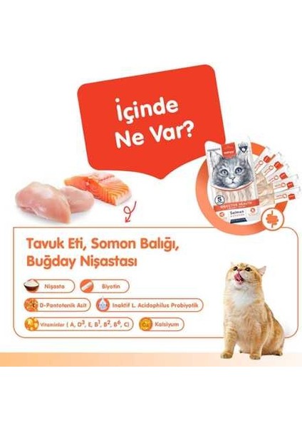 Digestive Health Somon Balığı ve Tavuklu Krema Kedi Ödülü 5X14 gr fiyatları