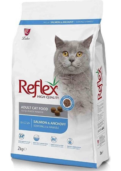 Somonlu ve Hamsili Yetişkin Kedi Maması 2kg