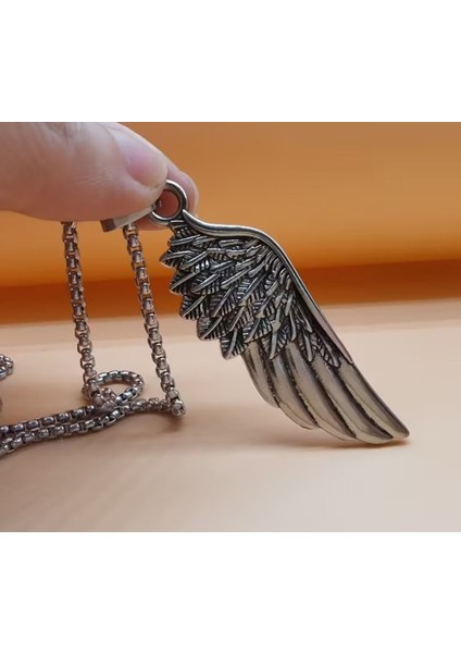 Daisybydaisy Paslanmaz Çelik Melek Kanat Kolye fırsatları