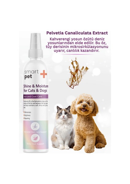 Smartpet + Shine And Moisture Kedi ve Köpekler Için Tüy Parlatıcı Sprey 100ML modelleri