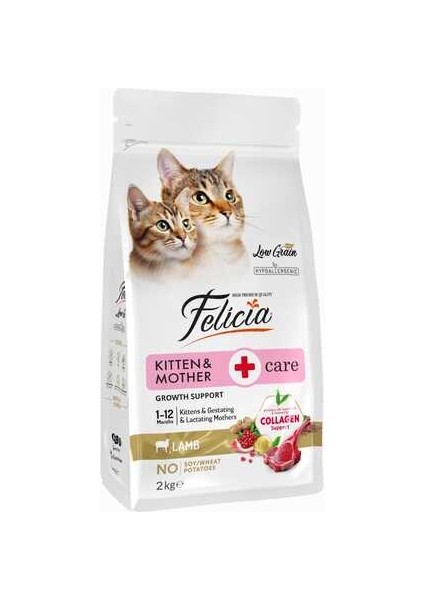 Düşük Tahıllı Hipoalerjenik Kuzu Etli Yavru Kedi Maması 2kg