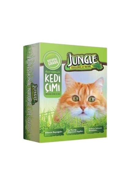 Kedi Çimi Kutulu Fileli