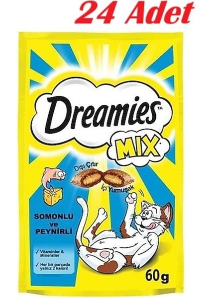 Somonlu ve Peynirli Kedi Ödülü 24 x 60GR