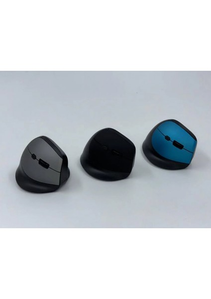 ZR721 Dry Battery Ergonomik Mouse
