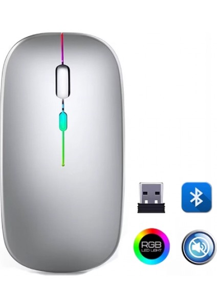 ZR215 CBA100 Rgb Gümüş Şarjlı Mouse