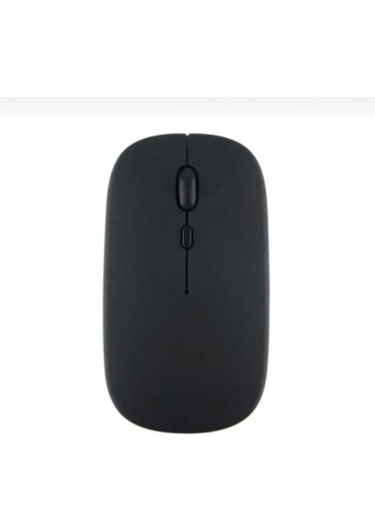 ZR216 Siyah Bluetooth Mouse