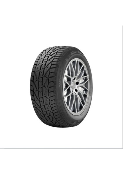 205/45R17 88V XL SNOW RIKEN (K23)