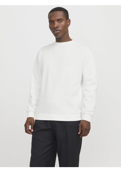 Jjebradley Crewneck Sweat | Günlük Erkek Sweatshirt
