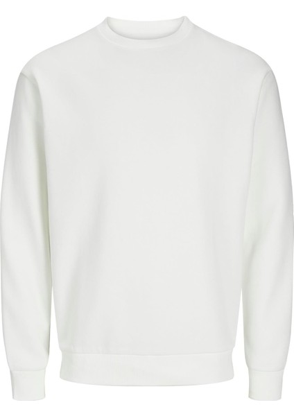 Jjebradley Crewneck Sweat | Günlük Erkek Sweatshirt fiyatları