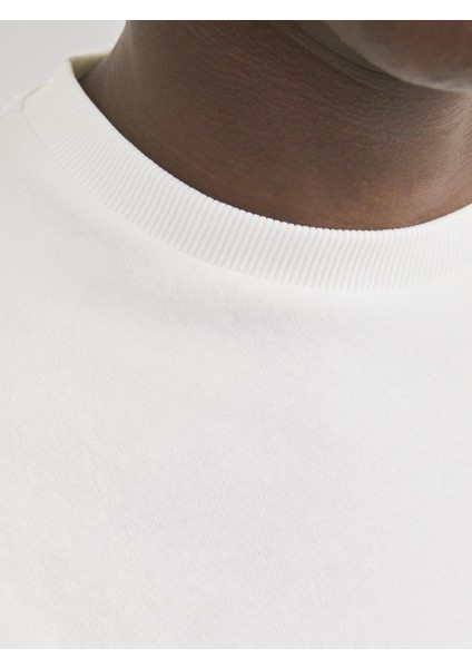 Jjebradley Crewneck Sweat | Günlük Erkek Sweatshirt fırsatları