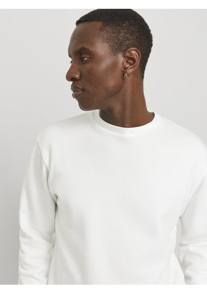 Jjebradley Crewneck Sweat | Günlük Erkek Sweatshirt indirimleri