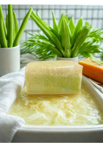 Gliserinli Aloevera Sabunu fiyatları