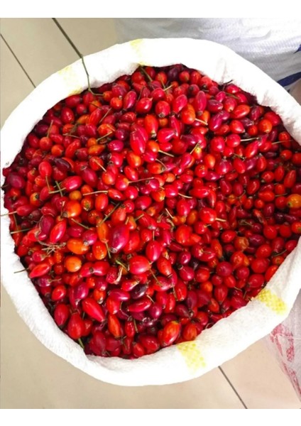 Kuşburnu (Marmelatlık) Yeni Mahsul Kuş Burnu 400 gr fiyatları