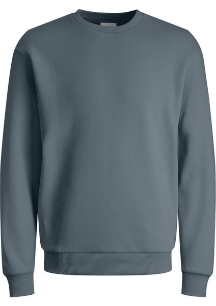 Jjebradley Crewneck Sweat | Günlük Erkek Sweatshirt fiyatları