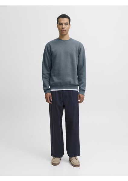 Jjebradley Crewneck Sweat | Günlük Erkek Sweatshirt fırsatları