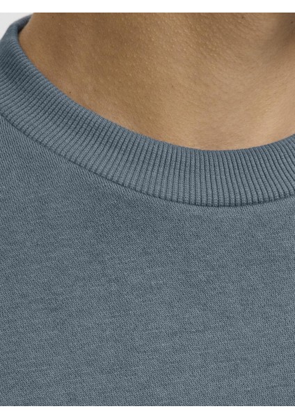 Jjebradley Crewneck Sweat | Günlük Erkek Sweatshirt indirimleri