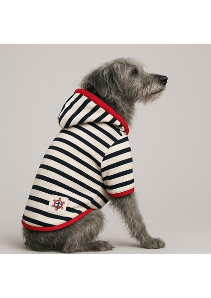 Marine Küçük Irk Köpek Sweatshirtü