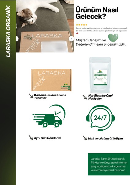 Kabak Çekirdeği Içi Çiğ 500G- Raw Pumpkin Seeds fırsatları