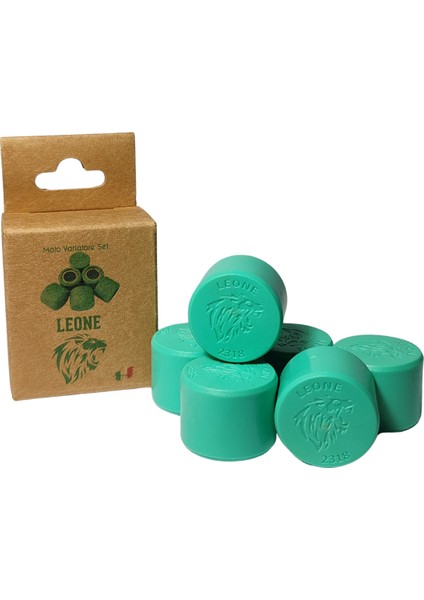 Honda Forza Nss 300CC Leone Performans Bagası