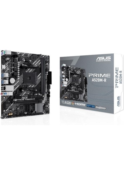 Prıme A520M-R Ddr4 5100MHZ 1xhdmı 1xm.2 Usb2.0 Matx Am4 (Amd Am4 5000/4000 /3000 Serisi Ile Uyumlu)